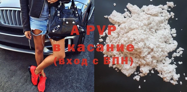 стафф Абаза